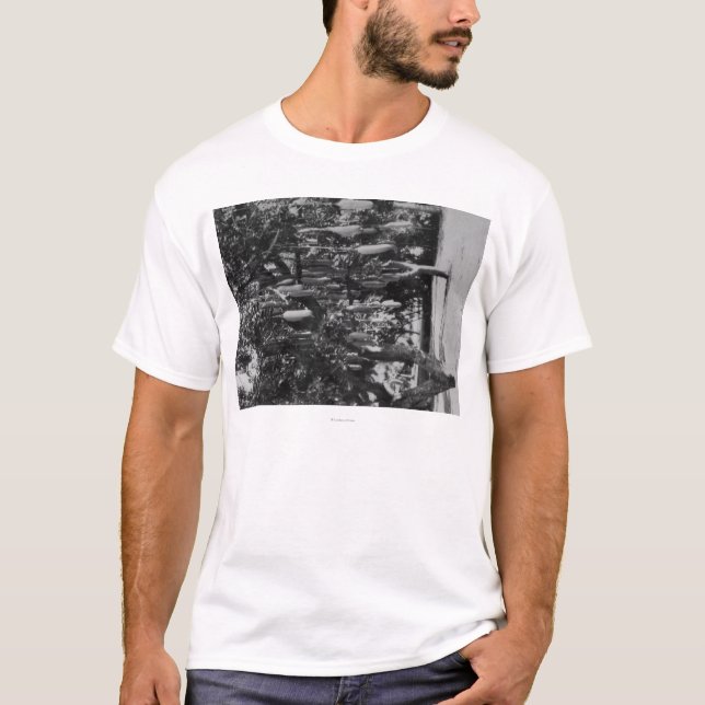 Honolulu, HI - University of Hawaii T-Shirt (Front)