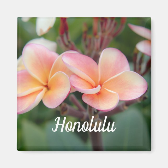 Honolulu Plumeria Magnet (Front)