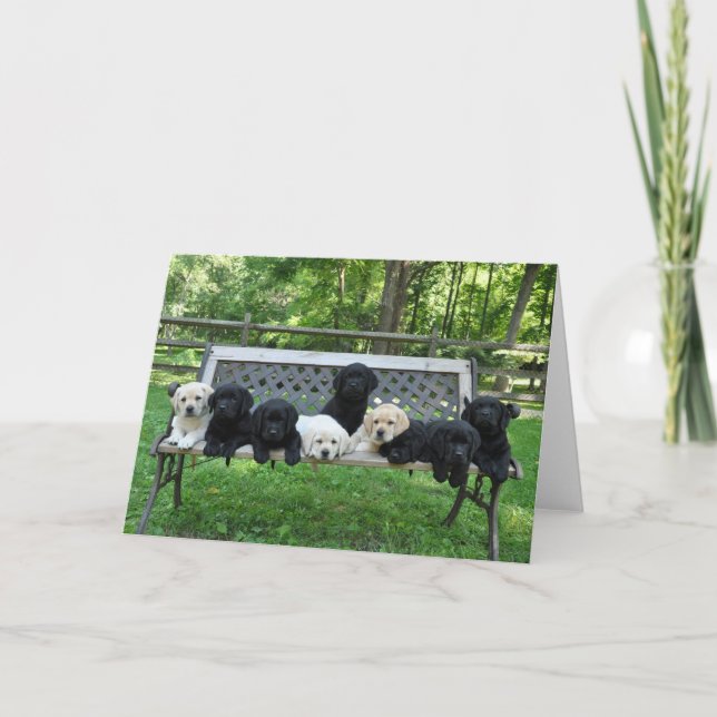 Honour Litter Bench Photo Card (Front)
