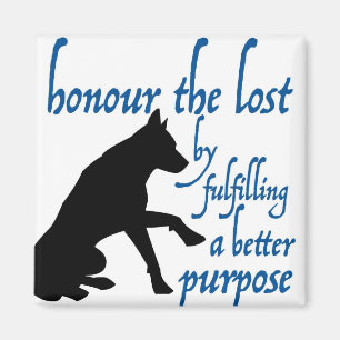 honour the lost magnet