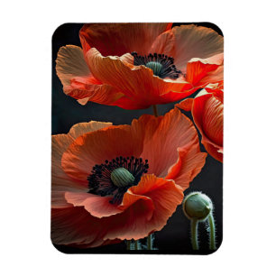 Honour those that gave all magnet