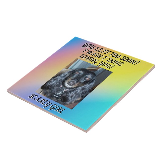Honouring Your Beloved Pet: Heartfelt Memorial  Tile (Side)