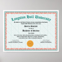 Honours College or University Diploma Replica