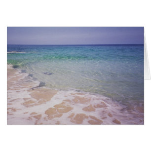 Honu at  La a'Loa Beach