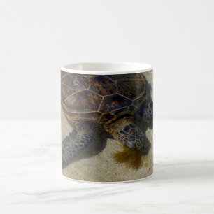 Honu Eating Limu Coffee Mug