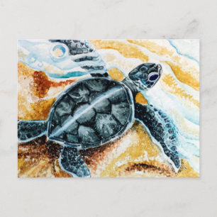 Honu Hatchling (Green Sea Turtle) Postcard