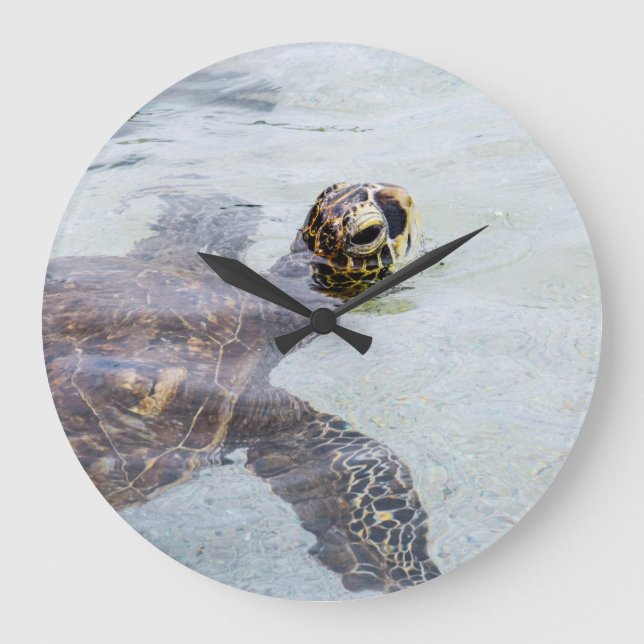 Honu Hawaiian Sea Turtle - Hawaii Turtles Large Clock (Front)