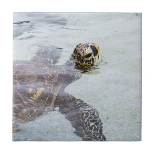 Honu Hawaiian Sea Turtle - Hawaii Turtles Tile