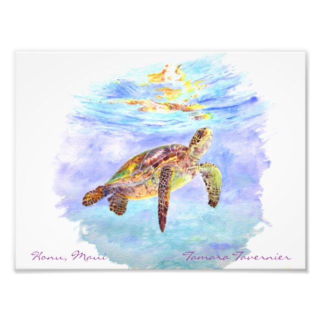 Honu, Maui                         Tamara... Photo Print (Front)