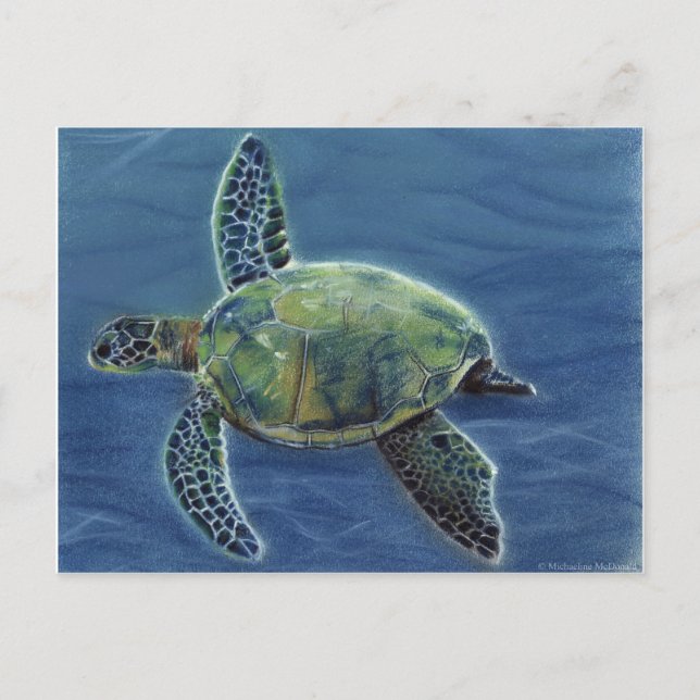 Honu Postcard (Front)