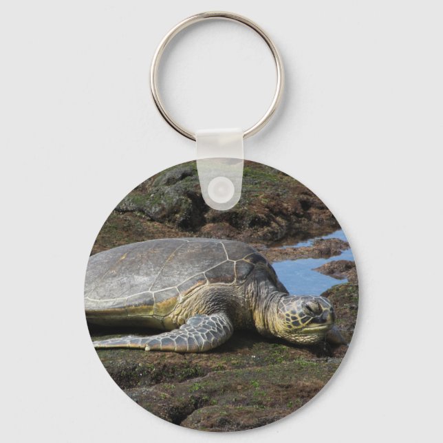 Honu Resting on the Warm Rocks Key Ring (Front)