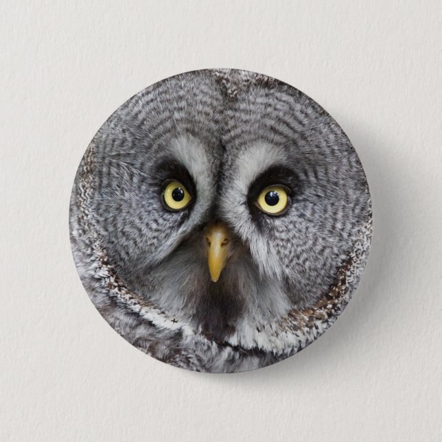 Hoo are You?  Badge (Front)