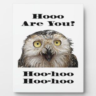 Hoo Are You? Owl Who Are You? Plaque