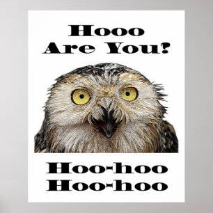 Hoo Are You? Owl Who Are You? Poster