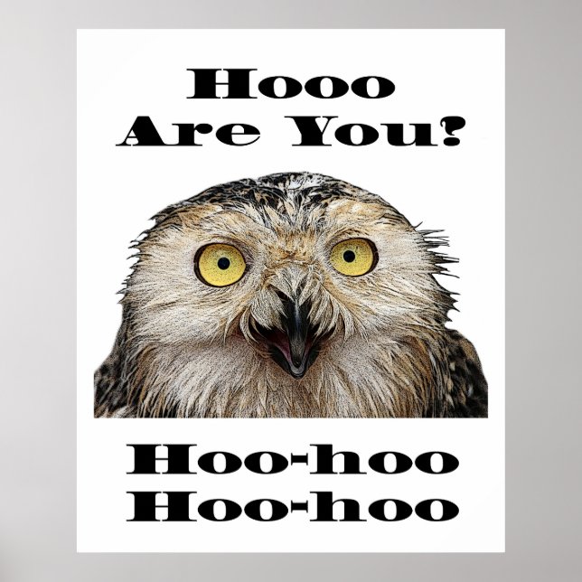 Hoo Are You? Owl Who Are You? Poster (Front)