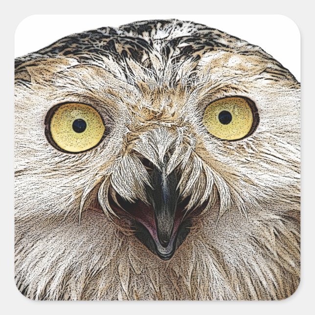 Hoo Are You? Owl Who Are You? Square Sticker (Front)