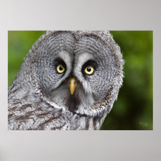 Hoo are You Print