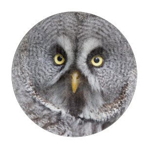 Hoo are You? Round Cutting Board