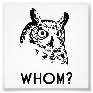 Hoo Who Whom Grammar Owl Photo Print