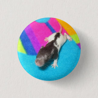 Hooded Baby Rat 3 Cm Round Badge