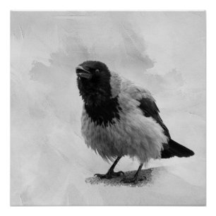 Hooded Crow Poster
