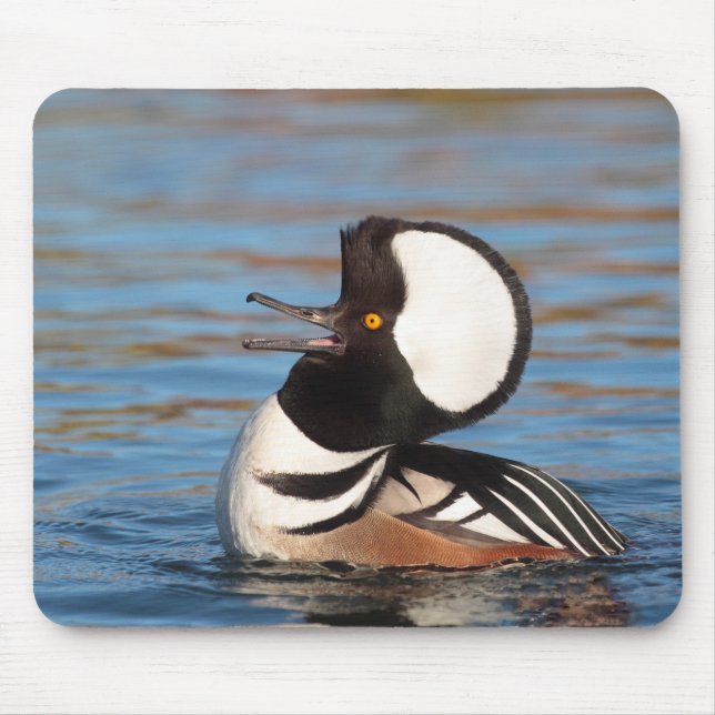 Hooded Merganser Calling Mouse Mat (Front)