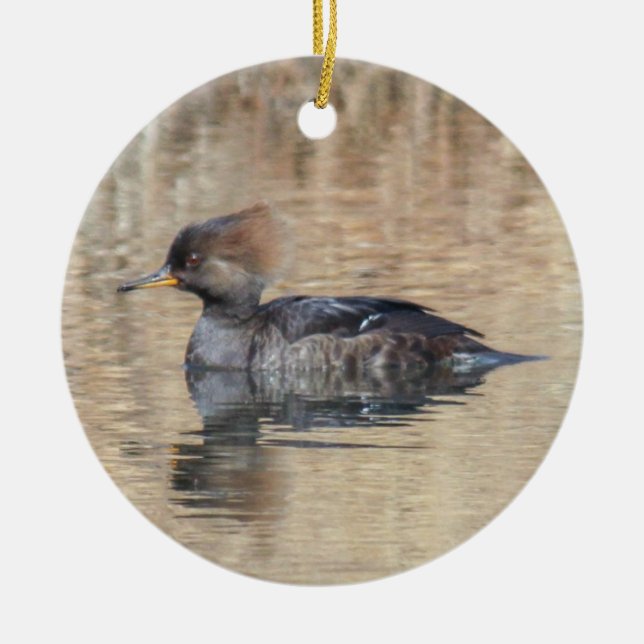 Hooded Merganser Ceramic Tree Decoration (Front)