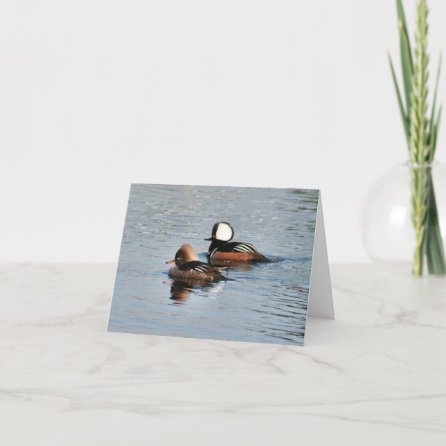 Hooded Merganser Duck Photo Folded Note Card (Front)