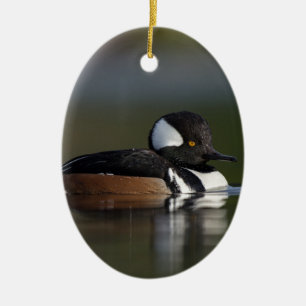 Hooded Merganser in evening light Ceramic Tree Decoration