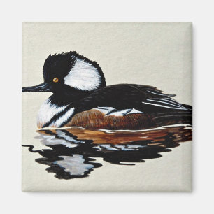 Hooded merganser magnet
