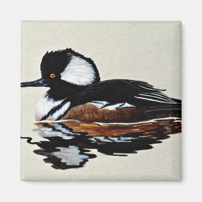 Hooded merganser magnet (Front)