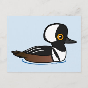 Hooded Merganser Postcard