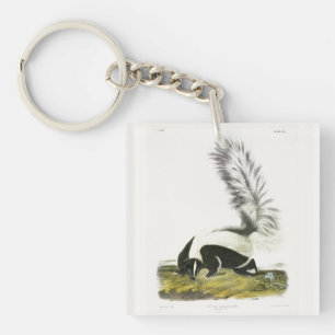 Hooded Skunk or Large-tailed Skunk from Audubon Key Ring