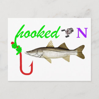 hooked on snook postcard