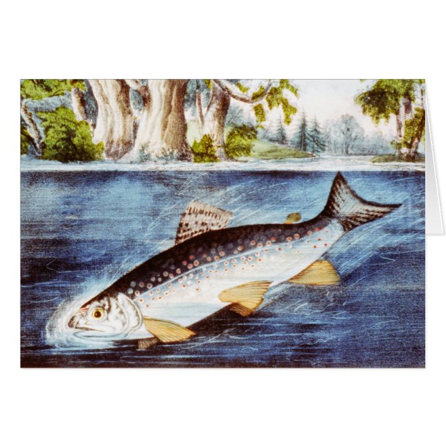 Hooked Trout - Vintage Fine Art (Front Horizontal)
