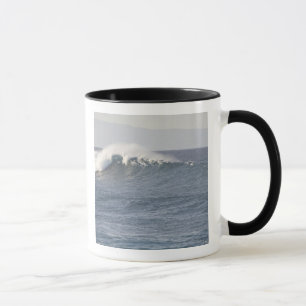 Hookipa Beach Park, North Shore of Maui, Mug
