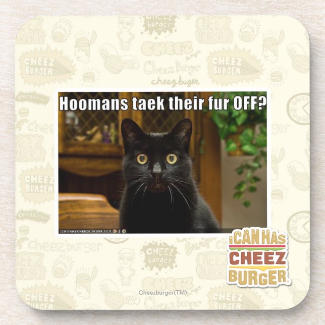 Hoomans Taek There fur OFF? Coaster (Front)