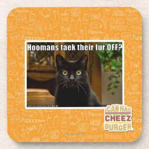 Hoomans Taek There fur OFF? Coaster