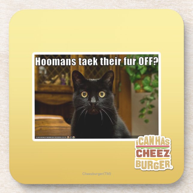 Hoomans Taek There fur OFF? Coaster (Front)