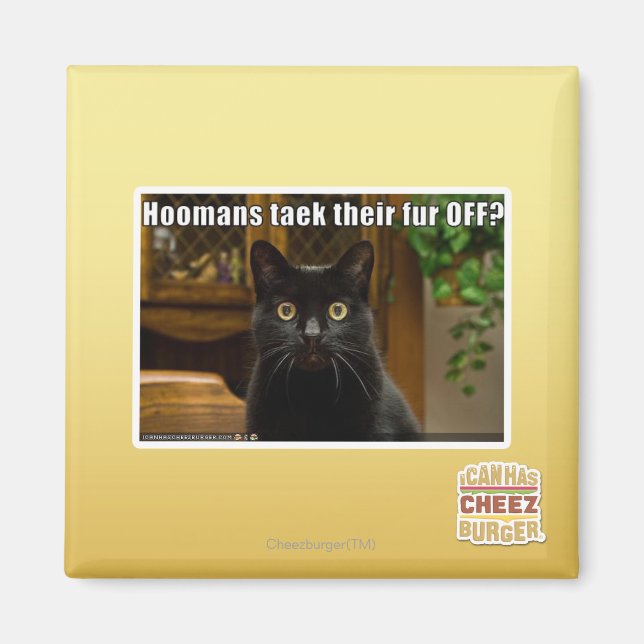 Hoomans Taek There fur OFF? Magnet (Front)