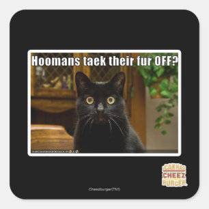Hoomans Taek There fur OFF? Square Sticker