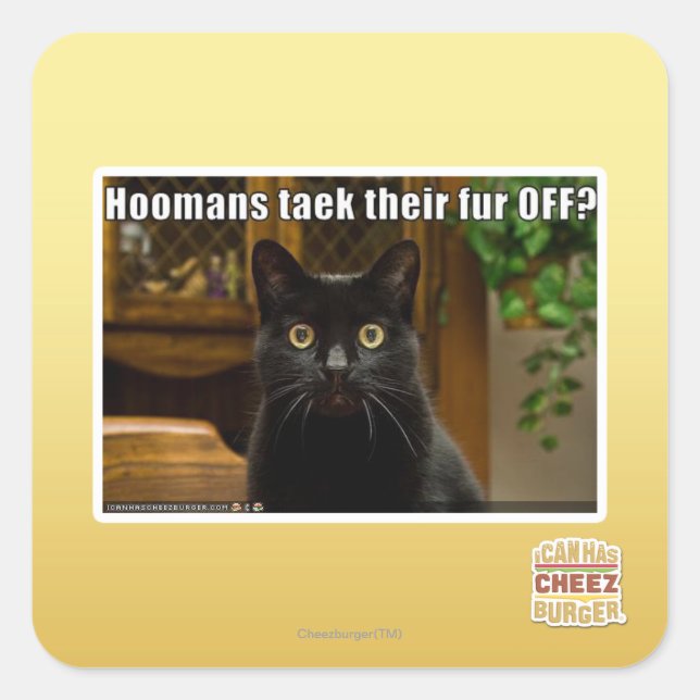 Hoomans Taek There fur OFF? Square Sticker (Front)
