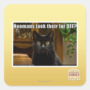 Hoomans Taek There fur OFF? Square Sticker