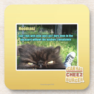 Hoomanz Coaster