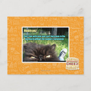 Hoomanz Postcard