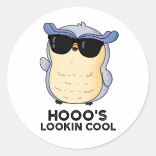 Hooo's Lookin Cool Funny Owl Pun  Classic Round Sticker