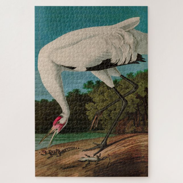 Hooping Crane Birds of America Audubon Print Jigsaw Puzzle (Vertical)