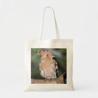 Hoopoe Bag