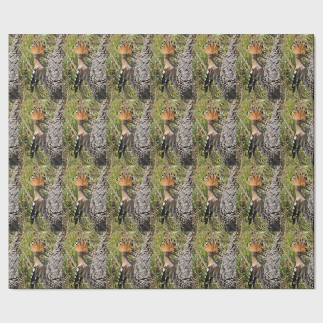 Hoopoe Feeding Nestling Wrapping Paper (Seam)