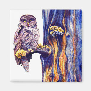 Hoo's Look'n  Magnet